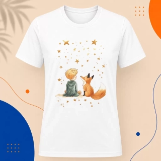 Pánské tričko - Společníci a hvězdy - Malý princ - Le petit prince